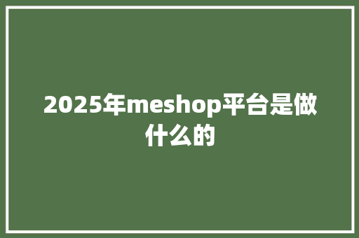 2025年meshop平台是做什么的