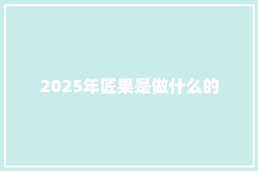 2025年匠果是做什么的