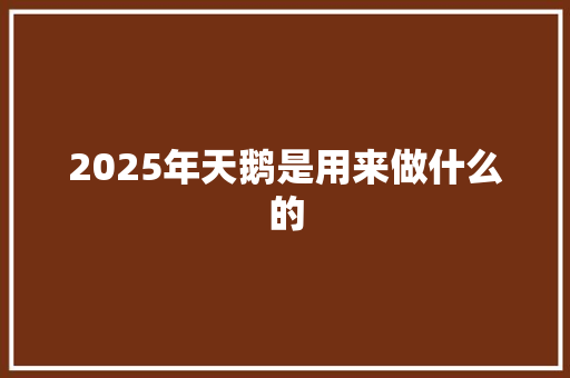 2025年天鹅是用来做什么的