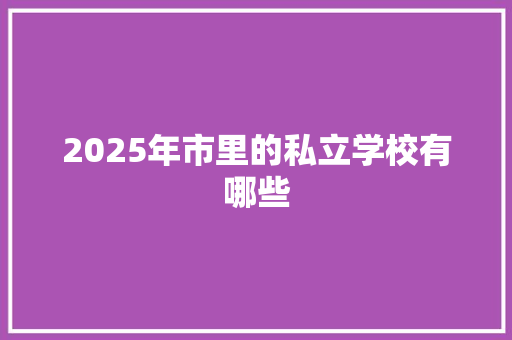 2025年市里的私立学校有哪些 词汇积累