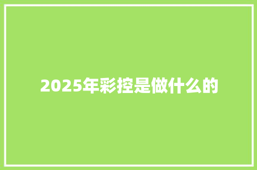 2025年彩控是做什么的 写作素材