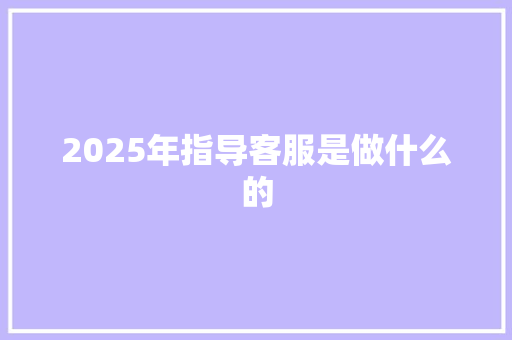 2025年指导客服是做什么的