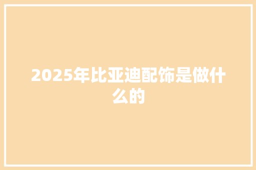 2025年比亚迪配饰是做什么的 报告写作