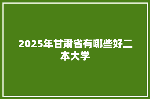 2025年甘肃省有哪些好二本大学
