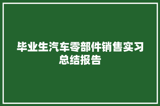 毕业生汽车零部件销售实习总结报告 诗歌创作