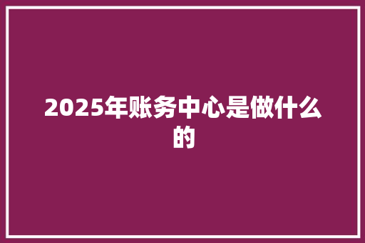 2025年账务中心是做什么的 写作素材