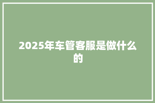 2025年车管客服是做什么的 词汇积累