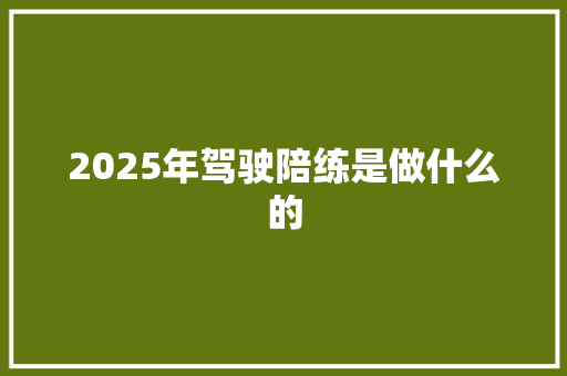 2025年驾驶陪练是做什么的 商业文案