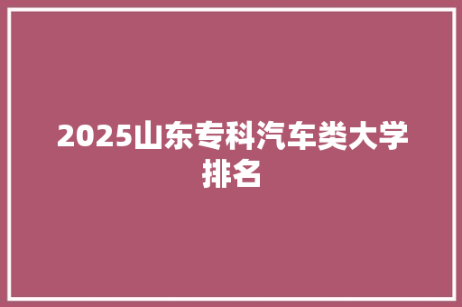 2025山东专科汽车类大学排名