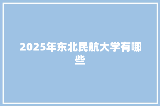2025年东北民航大学有哪些