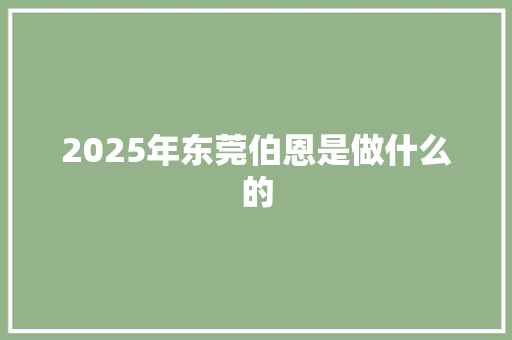 2025年东莞伯恩是做什么的