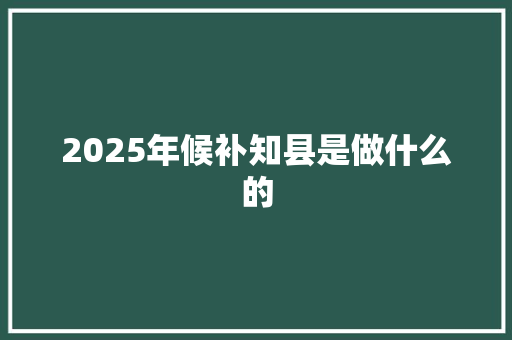 2025年候补知县是做什么的