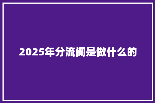 2025年分流阀是做什么的