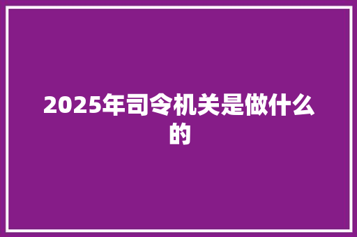 2025年司令机关是做什么的