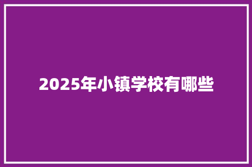 2025年小镇学校有哪些