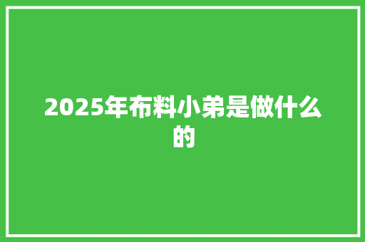 2025年布料小弟是做什么的
