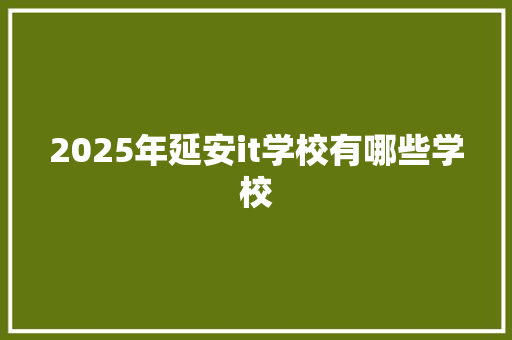 2025年延安it学校有哪些学校