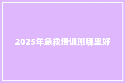 2025年急救培训班哪里好