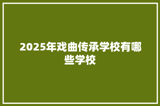 2025年戏曲传承学校有哪些学校