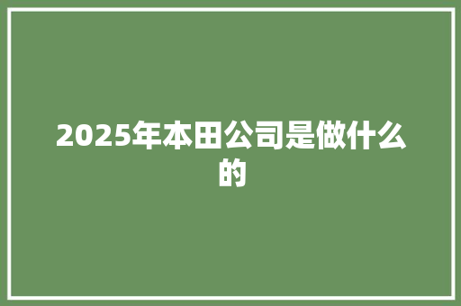 2025年本田公司是做什么的