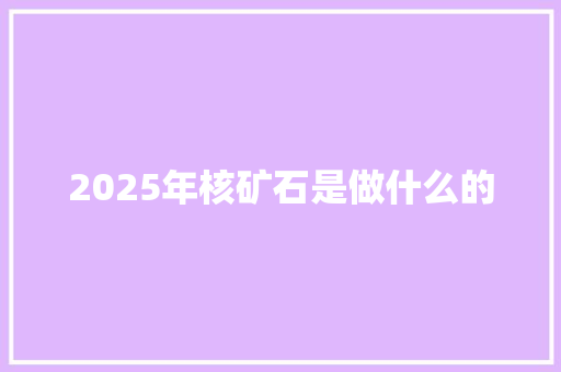 2025年核矿石是做什么的
