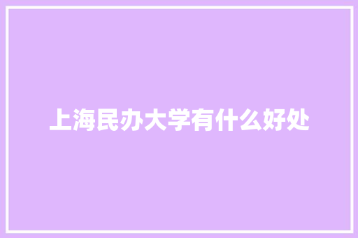 上海民办大学有什么好处