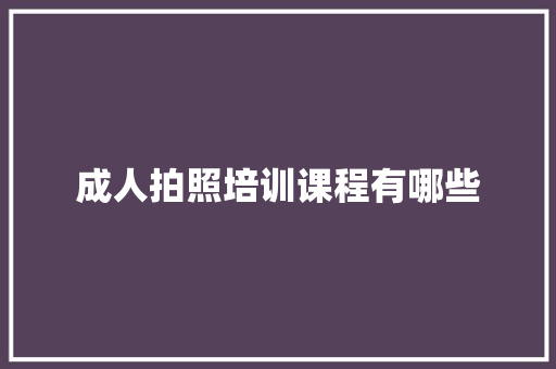 成人拍照培训课程有哪些