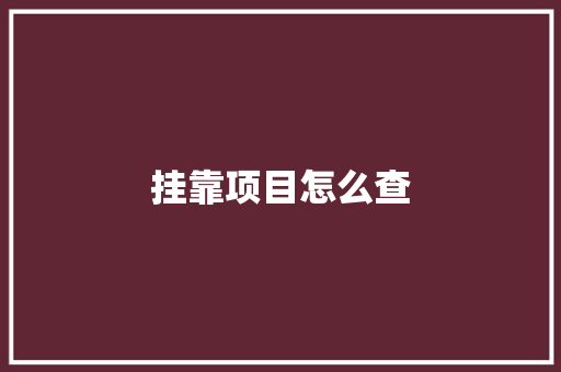 挂靠项目怎么查