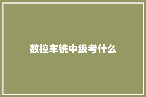 数控车铣中级考什么
