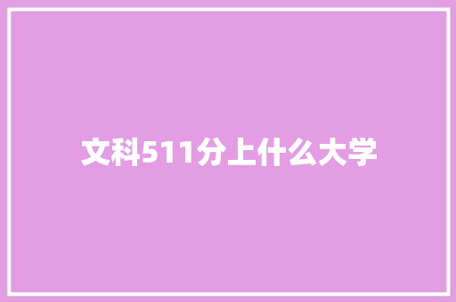 文科511分上什么大学