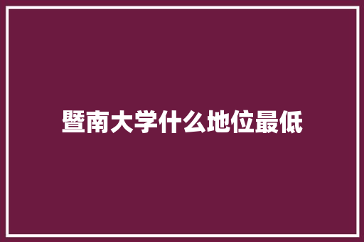 暨南大学什么地位最低