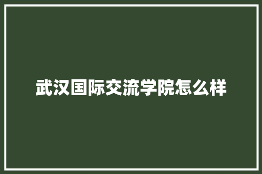 武汉国际交流学院怎么样
