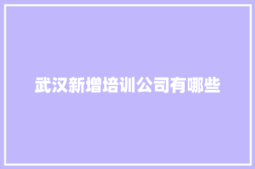 武汉新增培训公司有哪些