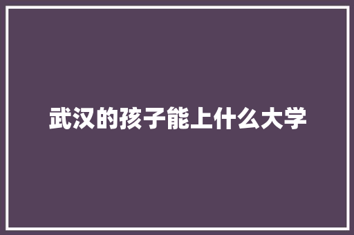 武汉的孩子能上什么大学