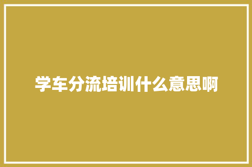 学车分流培训什么意思啊 简历模板