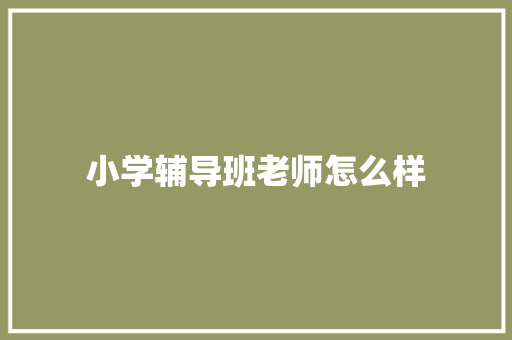 小学辅导班老师怎么样