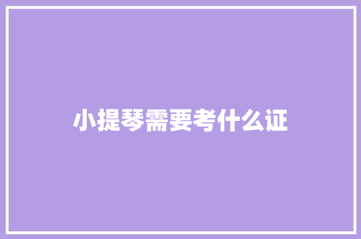 小提琴需要考什么证