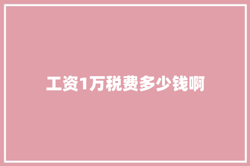 工资1万税费多少钱啊