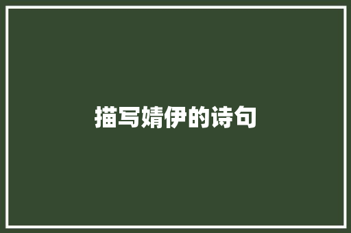 描写婧伊的诗句