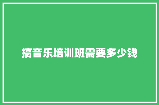 搞音乐培训班需要多少钱
