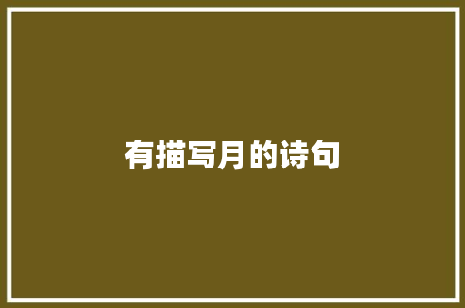 有描写月的诗句