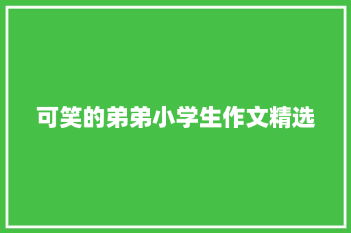 可笑的弟弟小学生作文精选 范文赏析