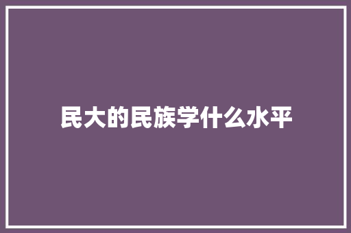 民大的民族学什么水平