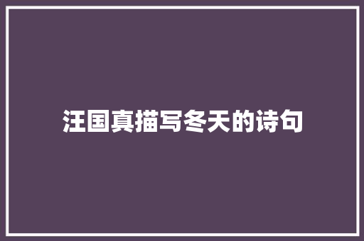 汪国真描写冬天的诗句