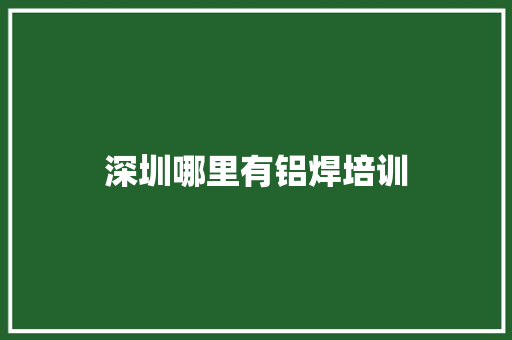 深圳哪里有铝焊培训