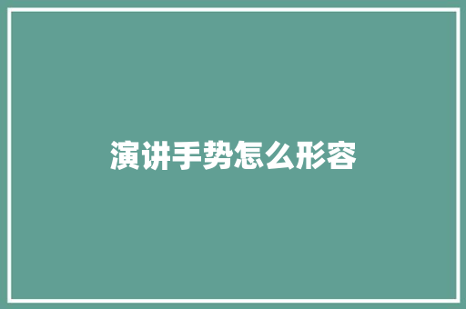 演讲手势怎么形容
