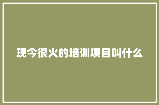 现今很火的培训项目叫什么