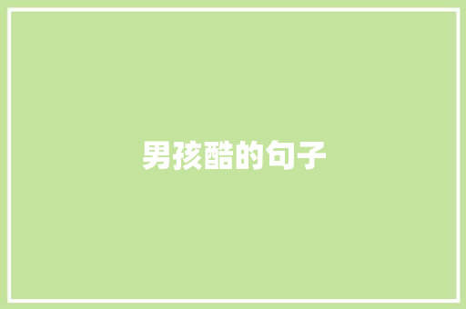 男孩酷的句子