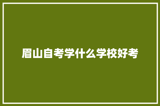 眉山自考学什么学校好考
