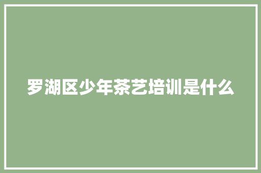罗湖区少年茶艺培训是什么